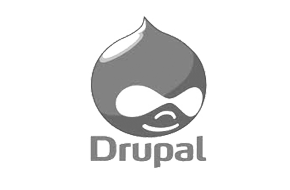 Drupal Developer